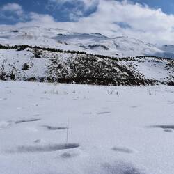La neige est bonne, on est chanceux•ses !