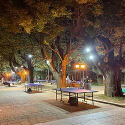kann man auch ne Runde Tischtennis im Park spielen