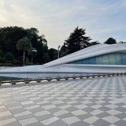 der Hochzeitsdelphin für romantische Trauungen