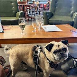 We always manage to patronise the local brewery!