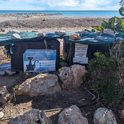 Futter und einen Unterschlupf gibt's auch