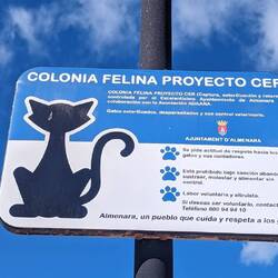 Hier werden die wilden Katzen eingefangen, sterilisiert und wieder freigelassen