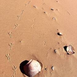 Spure us früehnrige Ziite