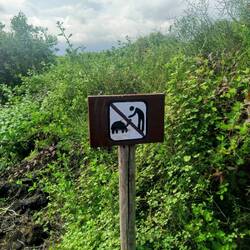 Ganz ehrlich, wir haben nicht angefasst