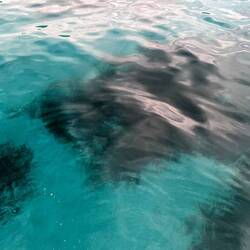 Beautiful tropical waters