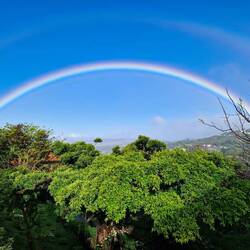 Und was für Regenbögen 🤩