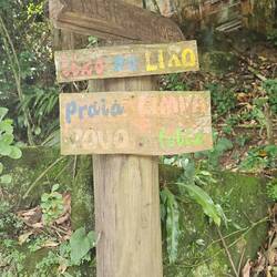 Hier geht's in den Dschungel