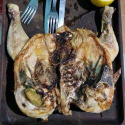 Huhn/ Tavuk Roadtrip Tag 1