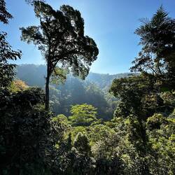 Mirador Rey Tepepul