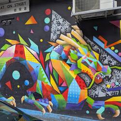 2024-2025 is the year of the dragon