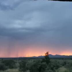 Wetterleuchten gestern Abend