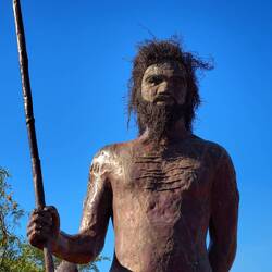 Wyndham warrior
