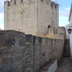 Schloss mitten in der Altstadt