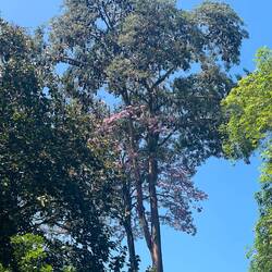 Was "versteckt" sich hier?