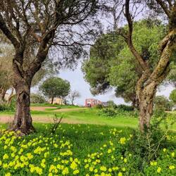 Der Düx sticht farblich hervor