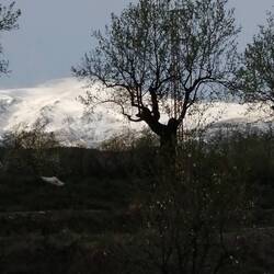 Maybe snowed there overnight