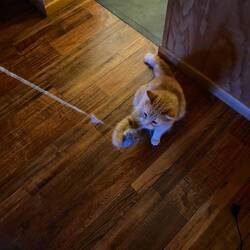 Darf ich vorstellen Königin Dorotea 😎