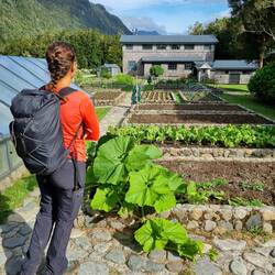 Campingplatz oder deutscher Gemüsegarten?!