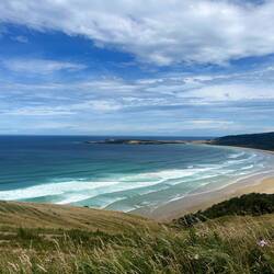 Florence Hill Look Out