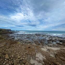 Curio Bay und versteinerter Wald