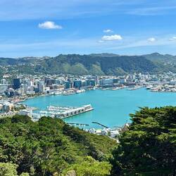 Ausblick auf das Stadtzentrum vom mt victoria