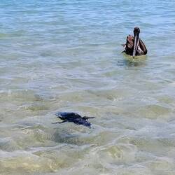 Auf der Lauer nach den Mini-Fischen