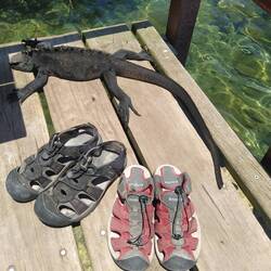 Ihm haben unsere Schuhe wohl nicht gepasst 😅