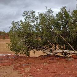 am Rocky Pool, leider ohne Wasser