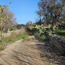 Bah... Elle est où la route ?