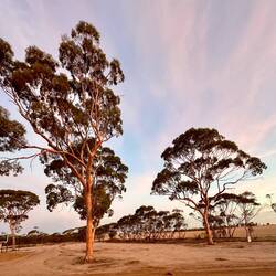 The Silos, WaveRock-Short Stay