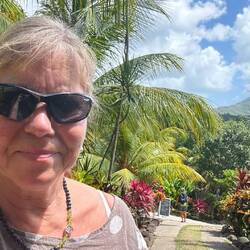 Garten mit tropischen pflanzen und auch med. Nutzpflanzen