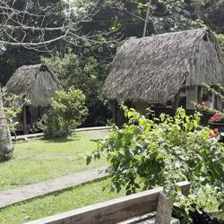 La Savane des Esclaves auf Martinique