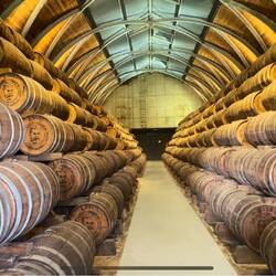 der Geruch !! 🤪👍🏼😁