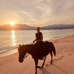 Ein großer Wunsch geht in Erfüllung -Reiten am Strand 🐴🌅🏝️