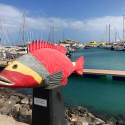 Am Hafen fährt die Fähre nach Lanzarote.