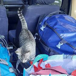 Fast hätte ich die mit genommen 😊