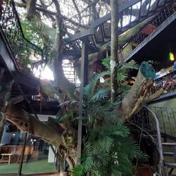 Baum mit Restaurant drum