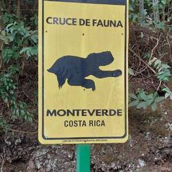 Begrüßung in Monteverde 😀