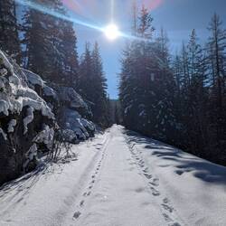 Wanderung zwei, rechts meine Spuren links Wildspuren