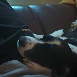 Noch mehr Charlotte ❤️❤️