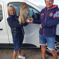 der wiegt bisschen was