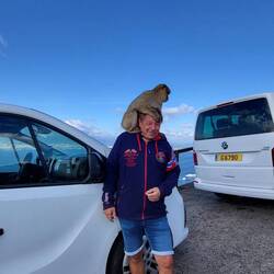 die Affen waren ganz begeistert von den Touristen