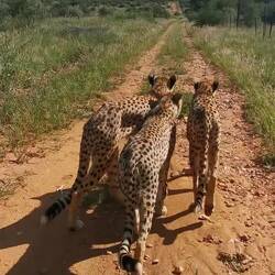 Noch ein Video von gestern...