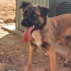 Ist der nicht süß? 😍