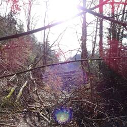 Es gibt einen Weg hindurch, ich habe ihn auch gefunden