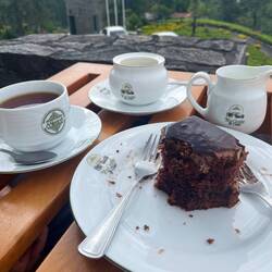 Tee- und Kuchenverkostung