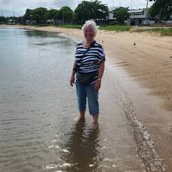 Crocodiles...What Crocodiles?