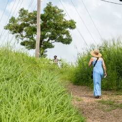 Fourth Encounter with Auntie Liz At Top of Hill