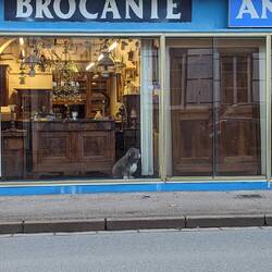 Antiquitäten-Geschäft mit Hund 😉