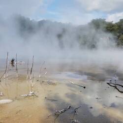 Entsprechend tot ist aber auch alles darin